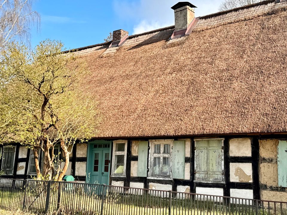 Urig rustikal - ein Haus für Handwerker und Liebhaber in 17375 Ahlbeck bei Eggesin in Ahlbeck