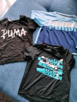 Puma Sportshirts Nordrhein-Westfalen - Bad Salzuflen Vorschau