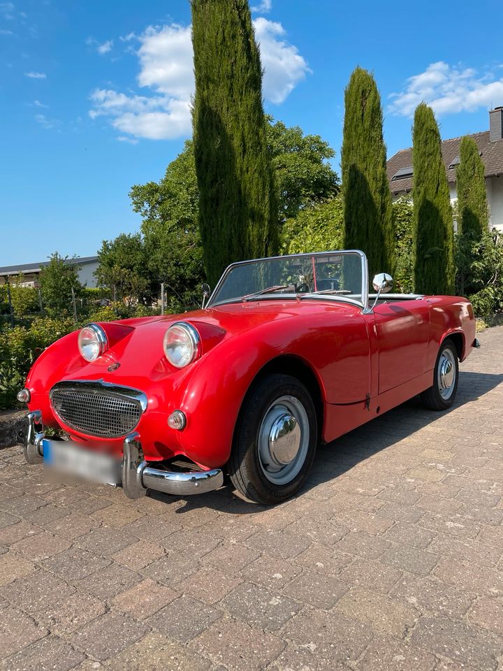 Austin Healey Sprite MK 2 in Kirchheim an der Weinstraße