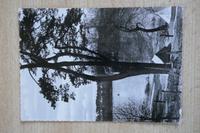 alte Postkarte Berlin - Kleiner Wannsee 1974 Bayern - Wehringen Vorschau
