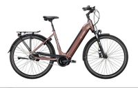 Victoria E-Bike Tresalo 13 // RH 51 cm Niedersachsen - Großenkneten Vorschau