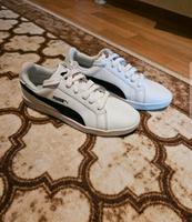 Puma Leder Schuhe gr.36 Baden-Württemberg - Tübingen Vorschau