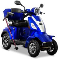 Rolektro, E-Quad 25 1000 Watt Elektromobil  E-Roller Gebraucht Hessen - Bad Salzschlirf Vorschau