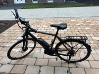 Bergamont  E-Bike Niedersachsen - Wangerland Vorschau