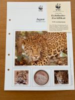 Silber Münze - Jaguar - 30 Jahre WWF Gedenkprägung - PP Baden-Württemberg - Meckenbeuren Vorschau
