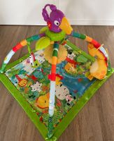 Spielbogen Fisher-Price Nordrhein-Westfalen - Langenberg Vorschau