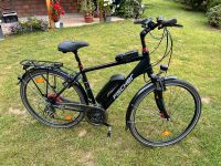 Fischer Proline ETH1606 Trekking E-Bike Sachsen - Chemnitz Vorschau