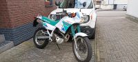 Honda NX 250 Dominator MD21 Nordrhein-Westfalen - Gladbeck Vorschau