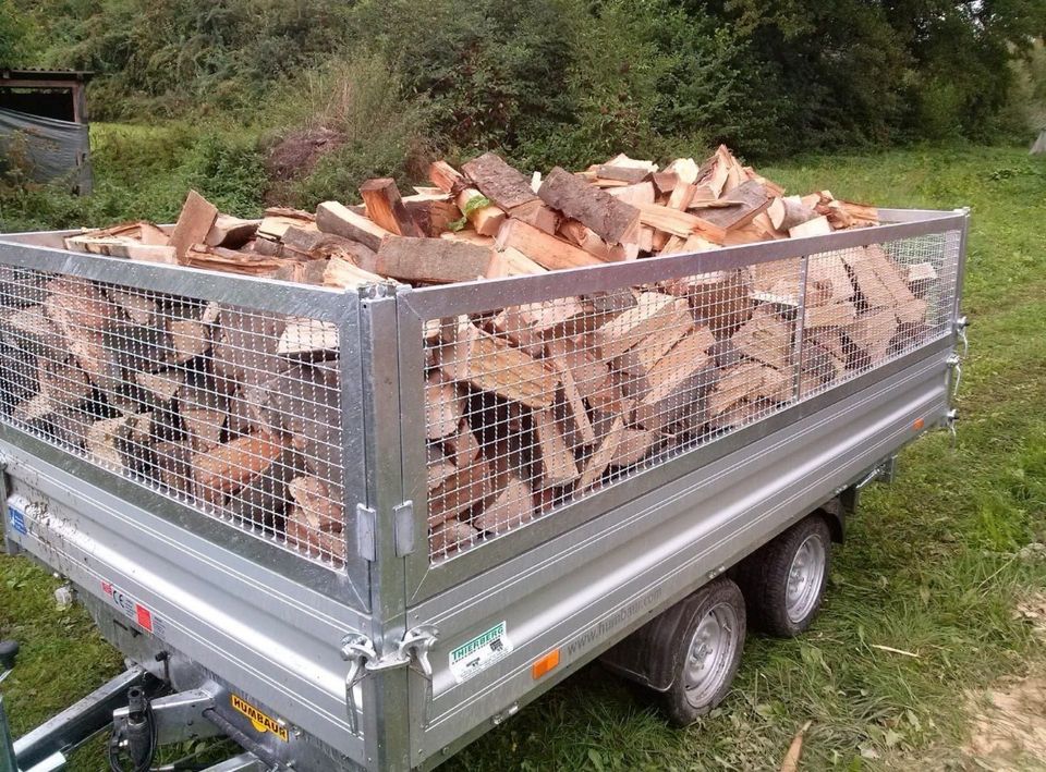 Brennholz Kaminholz 50cm Buche trocken in Otzberg