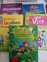 Kinderbücher Set Hexe Lilli leselöwe Nürnberg (Mittelfr) - Nordstadt Vorschau