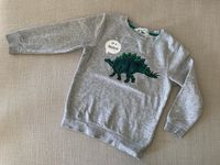 Sweatshirt Dino H&M Gr. 110/116 Kr. München - Unterhaching Vorschau