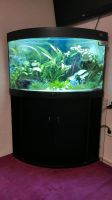 Aquarium Juwel Trigon 190 Liter Eckaquarium Kiel - Wellsee-Kronsburg-Rönne Vorschau