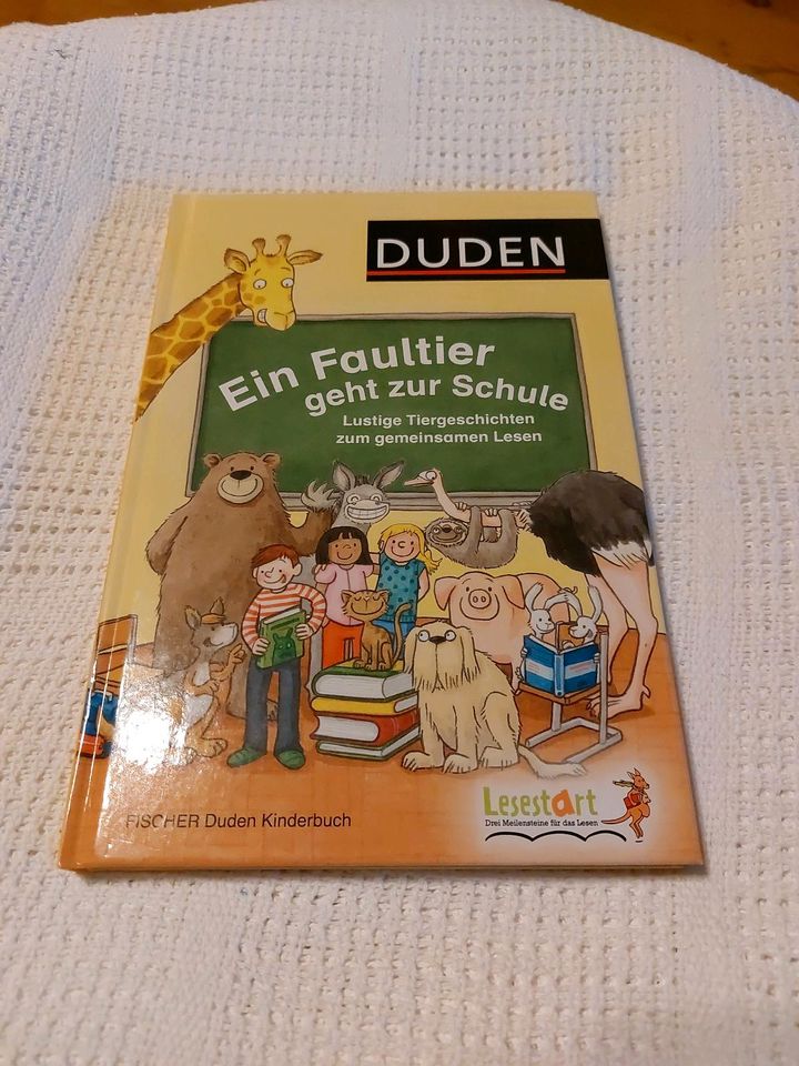 Duden Buch "Ein Faultier geht zur Schule" in Denkendorf