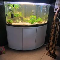 Fluval Venezia 350l Nordrhein-Westfalen - Haltern am See Vorschau