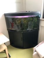 Eckaquarium 350 l, komplett, mit Unterschrank, zu verkaufen Baden-Württemberg - Bad Saulgau Vorschau