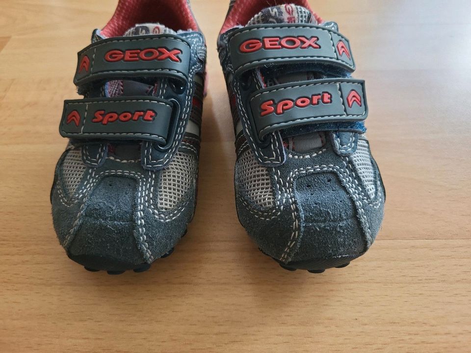 Geox Gr. 23 Sport Velourleder Klettverschluss in Ostfildern