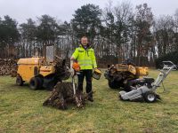 Baumwurzel entfernen, Baumstubben entfernen, Baumwurzel fräsen Niedersachsen - Brietlingen Vorschau