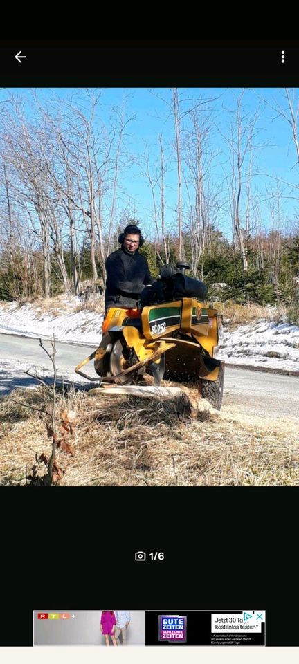 Baumstumpf- und Wurzel entfernen, Stubbenfräsen in Auerbach (Vogtland)