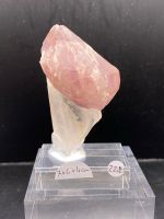 Amethyst Zepter Namibia Mineralien Mineraliensammlung Edelsteine Nordrhein-Westfalen - Grefrath Vorschau