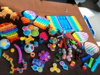Fidget Toys Sammlung (54 Teile) Wuppertal - Cronenberg Vorschau
