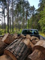 Feuerholz -  Kaminholz  -  Kiefer -  TROCKEN! Dresden - Neustadt Vorschau