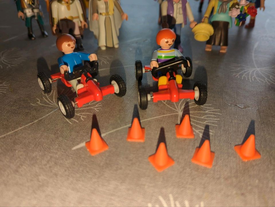 Playmobil Spielfiguren in Frickenhausen