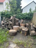 Verkaufe Holz von einer Ulme Hannover - Misburg-Anderten Vorschau