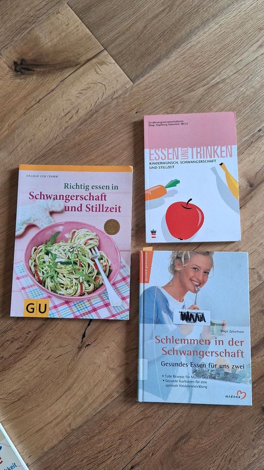 Bücher Essen in der Schwangerschaft und Stillzeit in Germersheim