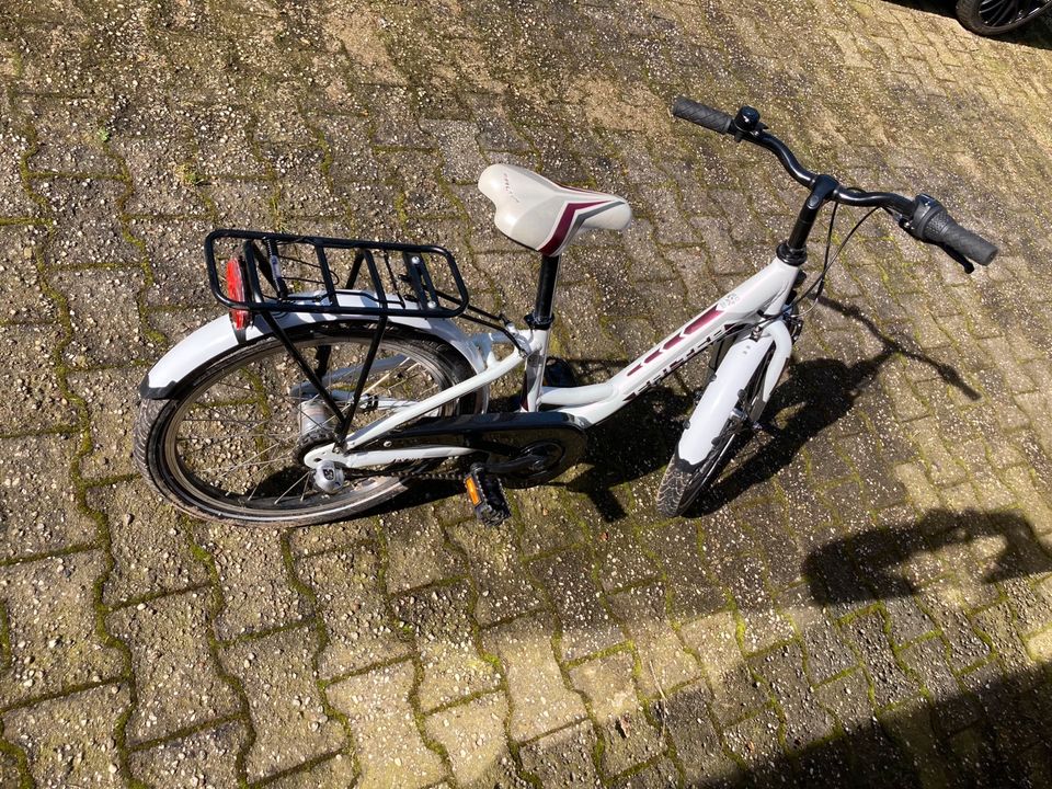 Fahrrad, Kinderfahrrad Falter FX 203 in Bochum