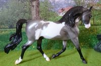 Breyer Pferd Stone Morgan Marabella Sherman Specials u.a. Ansel Bayern - Fürth Vorschau