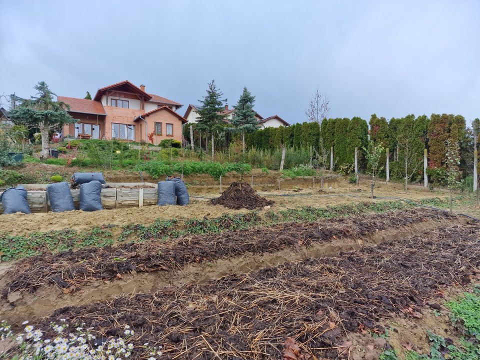 (AAA) Super gemütliches Landhaus  mit Biogarten & Panoramablick auf Héviz / Ungarn in Bad Zwischenahn