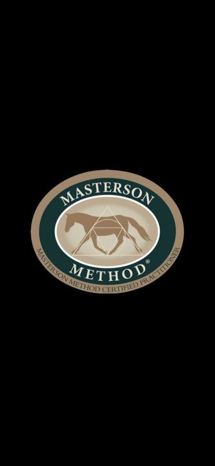 Masterson Method®, manuelle Pferdetherapie, Pferdephysiotherapie in Aurich
