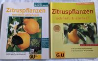 Bücher über Zitruspflanzen Baden-Württemberg - Hohberg Vorschau