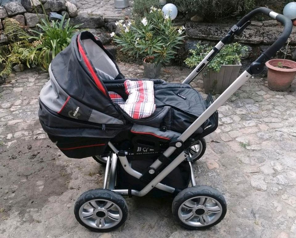 Kinderwagen Gesslein F6 in Vogtsburg