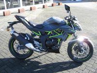 Kawasaki Z 125 Starterbonus 500€ Nordrhein-Westfalen - Bergkamen Vorschau