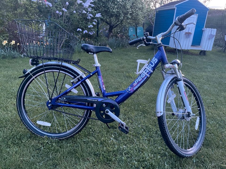 Fahrrad Pegasus 22er in Markkleeberg