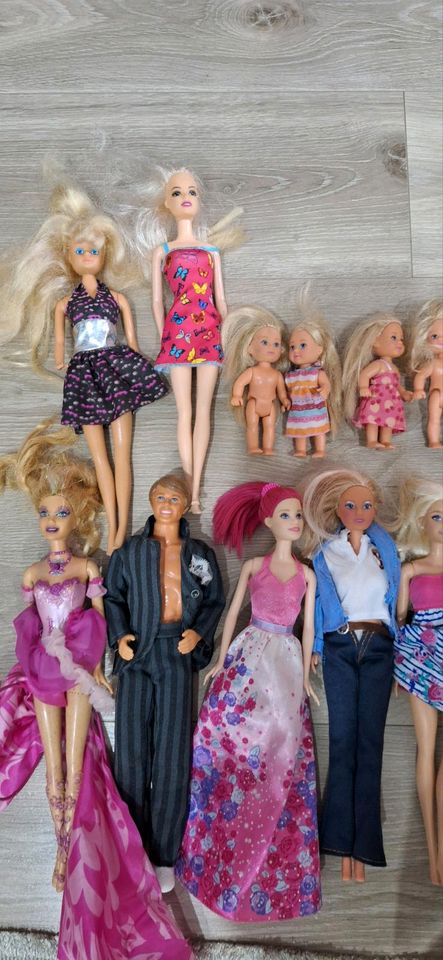 Barbie zuverkaufen in Wissen