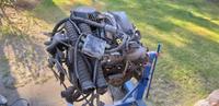 Ford V8 Benzinmotor 305 Brandenburg - Grünheide (Mark) Vorschau