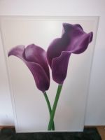 XXL-Bild - Purple Calla Lilies - 118x185 cm Baden-Württemberg - Herrenberg Vorschau