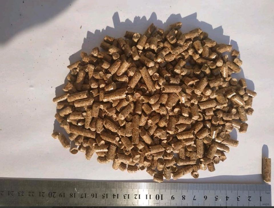 HOLZPELLETS DIN EN A1 QUALITÄT – AB 319 € PRO PALETTE INKL. MWST. UND LIEFERUNG in Berlin