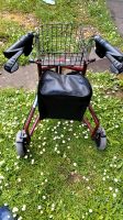 2× Rollator in sehr guten zustand Bonn - Plittersdorf Vorschau