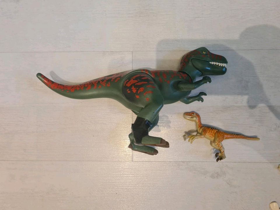 Playmobil 9231 Dinos T-Rex Angriff in Ennepetal