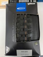 Schwalbe Magic Mary MTB Reifen Baden-Württemberg - Überlingen Vorschau