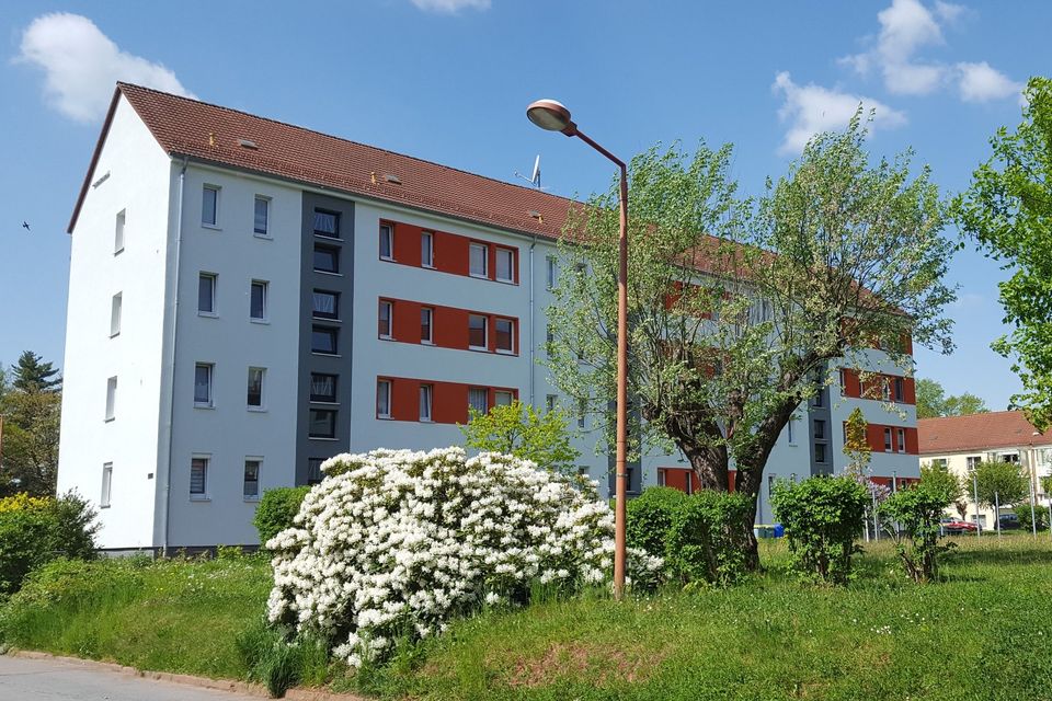 SINGLE-Wohnung in Siedlungslage mit sonnigem Balkon!! in Hohenstein-Ernstthal