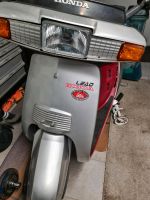 Roller Honda AF01 zu verkaufen Rheinland-Pfalz - Langenbach Vorschau