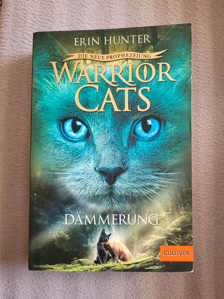 Buch warrior cats in Würzburg