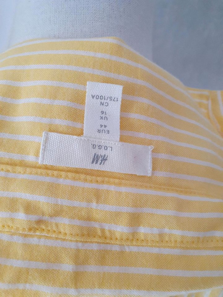 H&M Bluse gr.44 gelb Brustweite ca 63 cm in Bielefeld