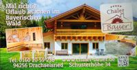 Chalet bei Bodenmais /bay.Wald Ferienhaus zu vermieten Bayern - Drachselsried Vorschau