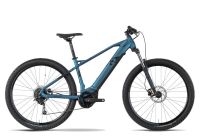 RAYMON EBIKE 29 ZOLL HardRay E 5.0 NEU! UVP 3199 € LE5 Leipzig - Leipzig, Zentrum Vorschau