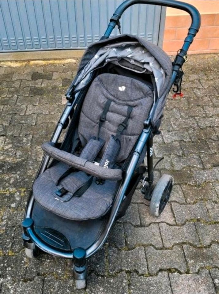 Joie Buggy in Ludwigshafen